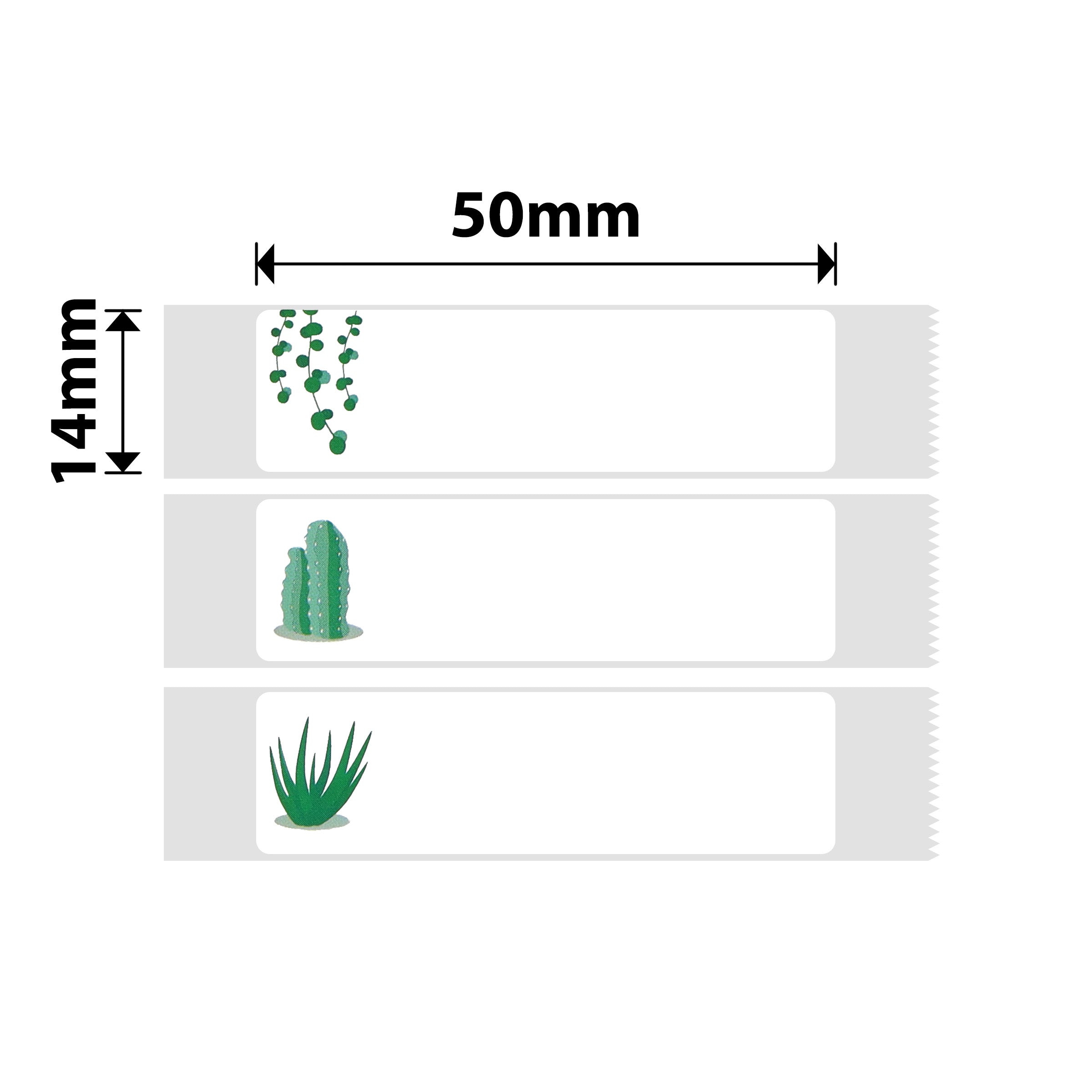 NB168 - NIIMBOT - D11 / D101 / D110 - 14*50MM - 130 ETIKETTE PER ROL - SUCCULENT B-ONTWERP