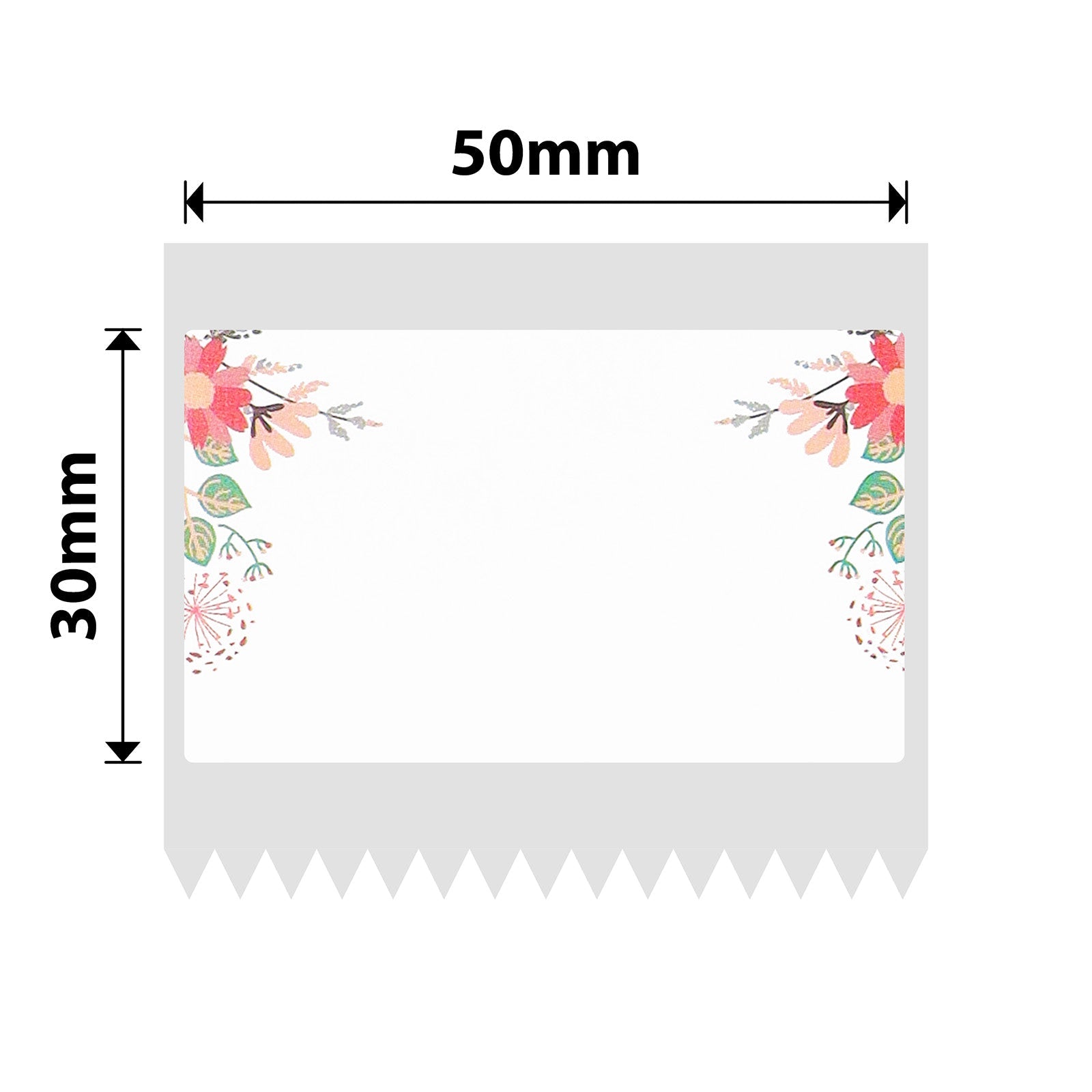 NIIMBOT - B Range - 50x30mm - Spring - 230 Labels