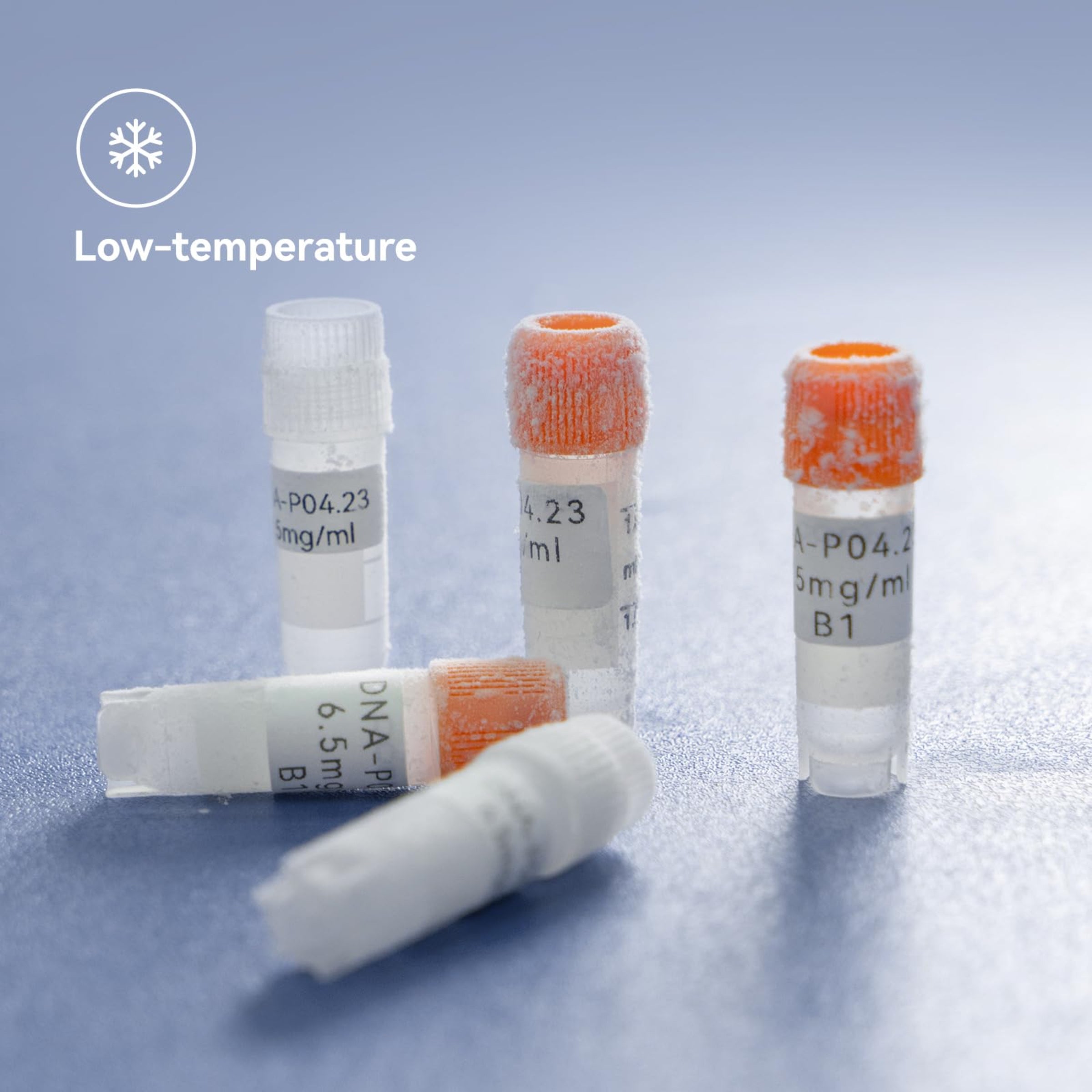 NIIMBOT - M2_H - RIBBON CARTRIDGES - THERMAL TRANSFER - 24 METERS