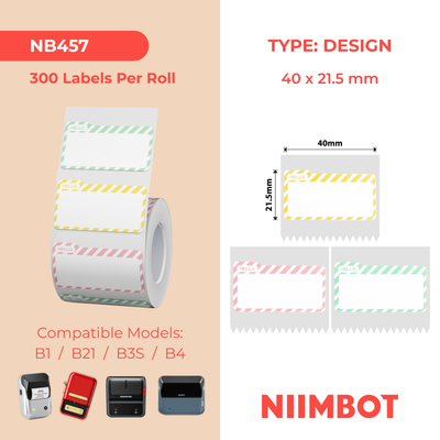 NIIMBOT - B Range - 40x21.5mm - Hello Name Tag Multi-Colour - 300 Labels