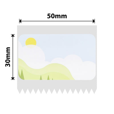 NB672 - NIIMBOT - B1 / B21 / B3S / B4 - 50X30MM - 230 SPRING SCENE LABELS