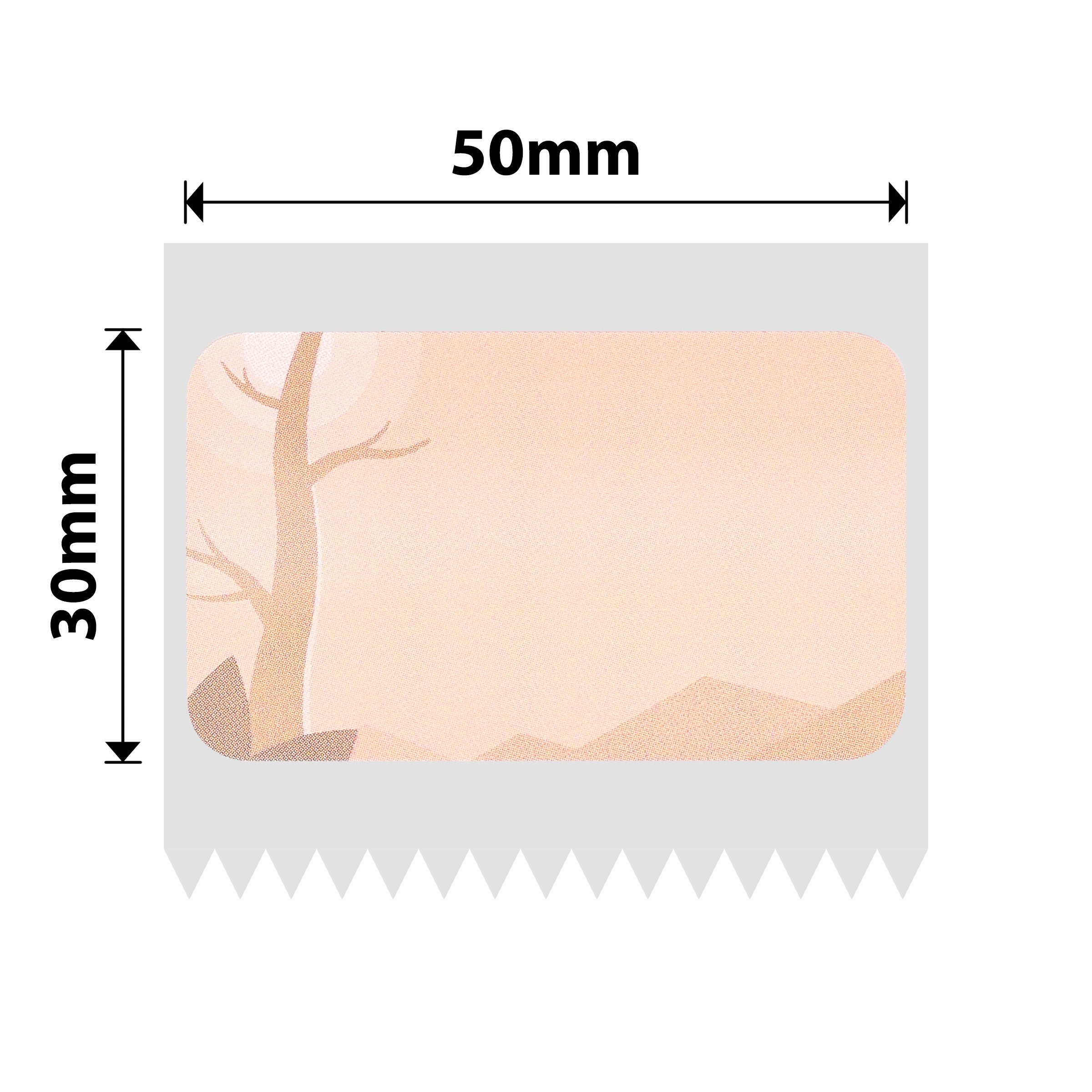 NB705 - NIIMBOT - T50*30MM - 230 LABELS - AUTUMN SCENE