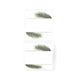 NIIMBOT - B Range - 51x51mm - Leaf Round - 140 Labels