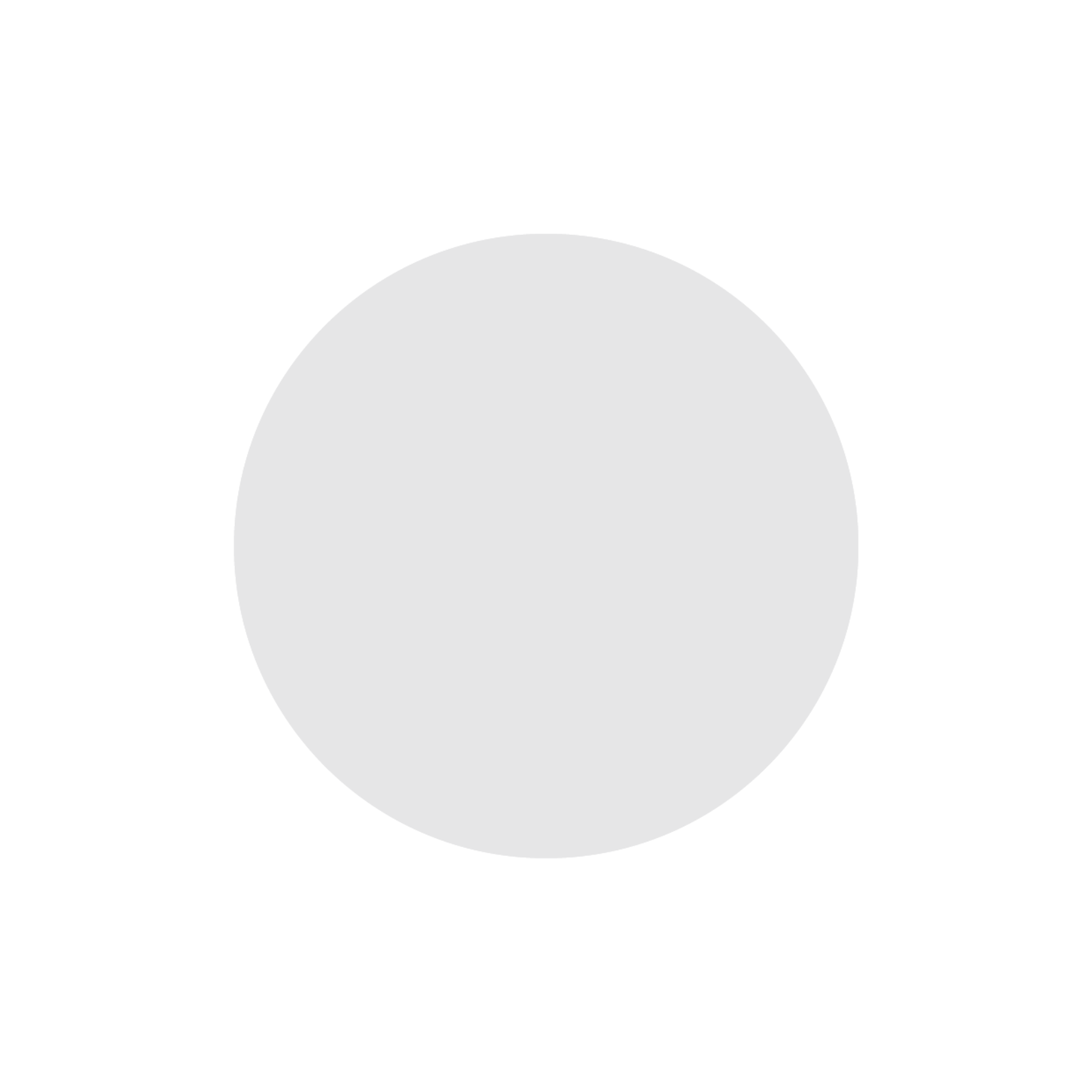 NIIMBOT - M2 / M3 - 32X32MM - 225 SILVER LASER HOLOGRAPHIC ROUND LABELS
