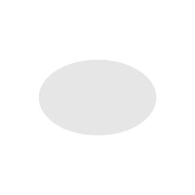NIIMBOT - M2 / M3 - 30X20MM - 345 SILVER OVAL LASER LABELS
