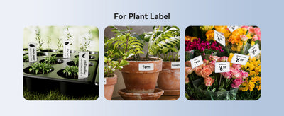 NB589 - NIIMBOT - M2_H - 300DPI THERMAL TRANSFER BLUETOOTH LABEL PRINTER - INCL BLACK RIBBON CARTRIDGE & WHITE 50X30MM LABEL