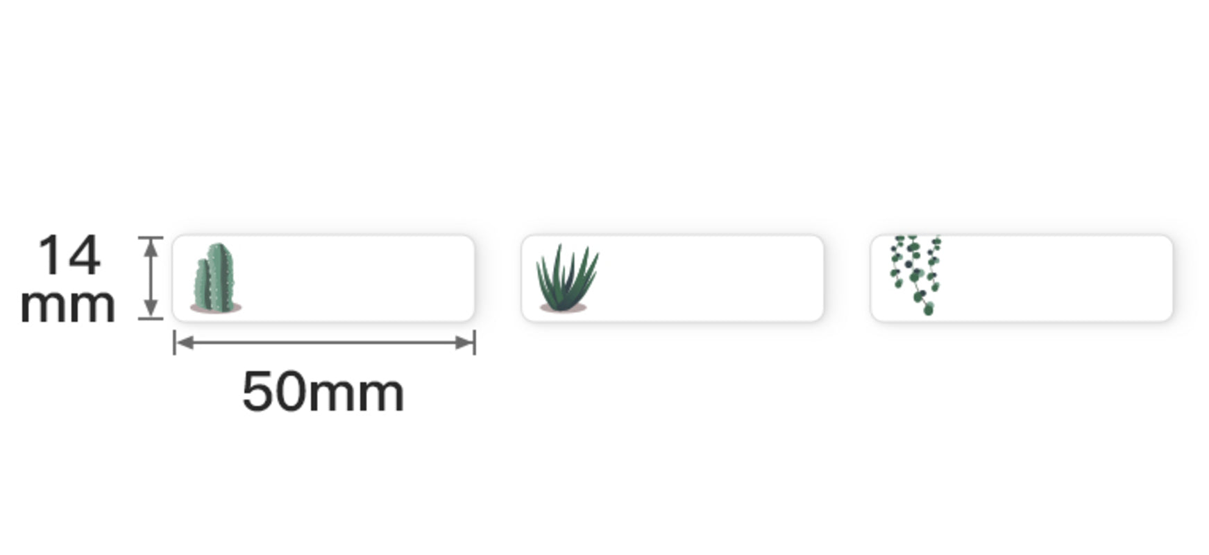 NB168 - NIIMBOT - D11 / D101 / D110 - 14*50MM - 130 LABELS PER ROLL - SUCCULENT B DESIGN