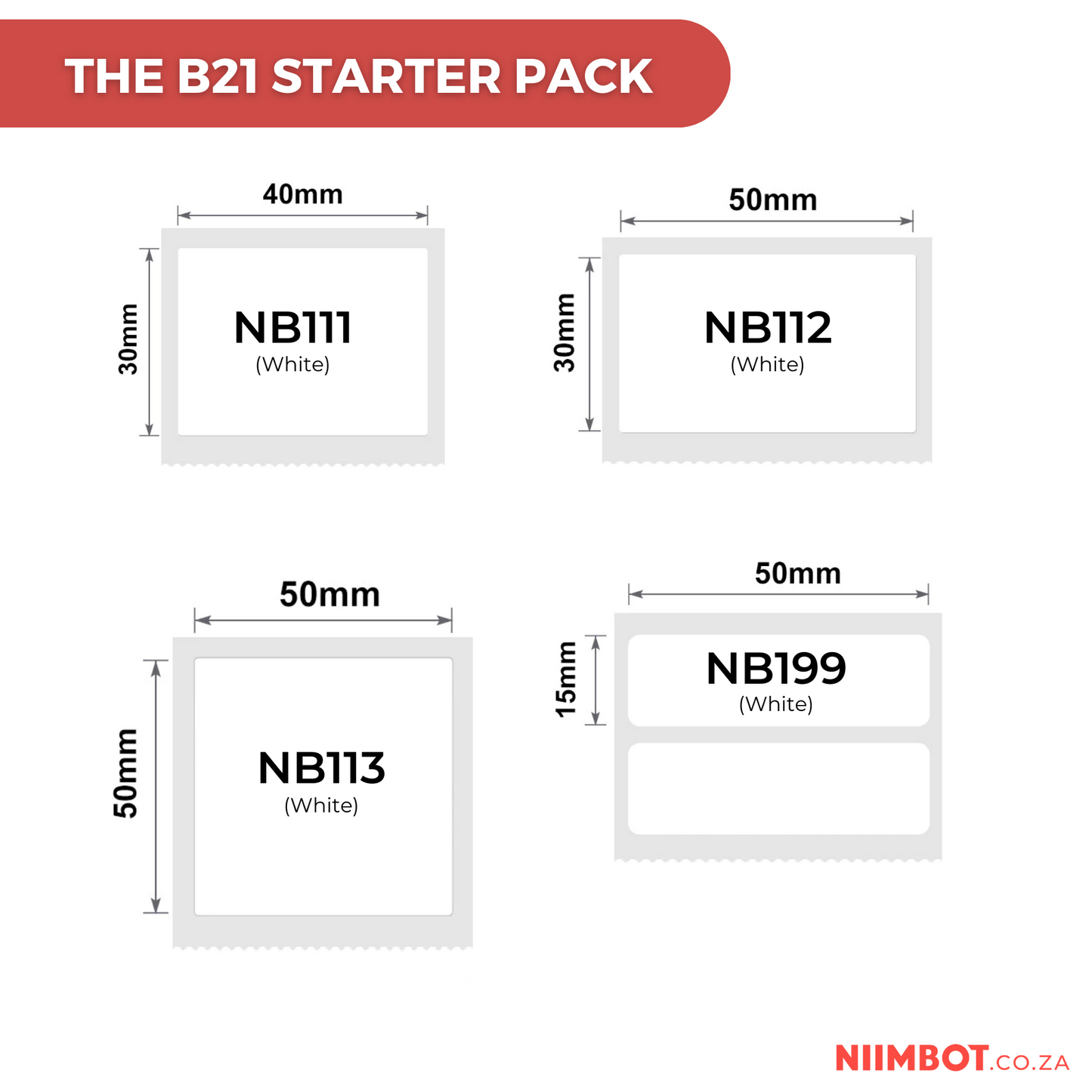 NIIMBOT - B21 STORE STARTER PACK - 10 X PRINTERS & 40 LABELS